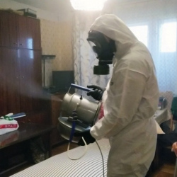 Дезинфекция от клопов в Гуково