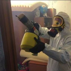 Уничтожение клопов в квартире. Гуково